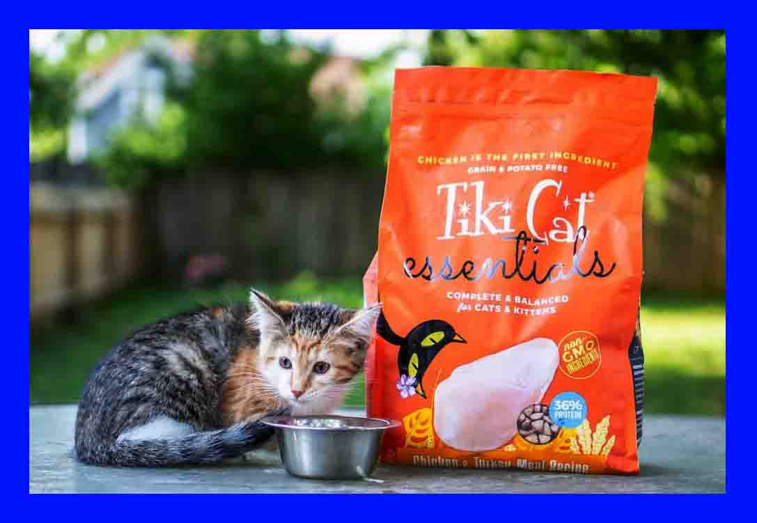 Is Tiki Cat Food Healthy Tiki Cat food is a popular brand of cat food that is known for its use of high-quality, natural ingredients. It is de-signed to pro-vide cats with a com-plete and ba
